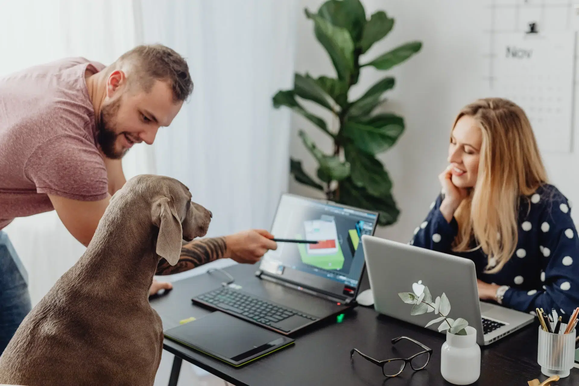 training a dog with electric collar