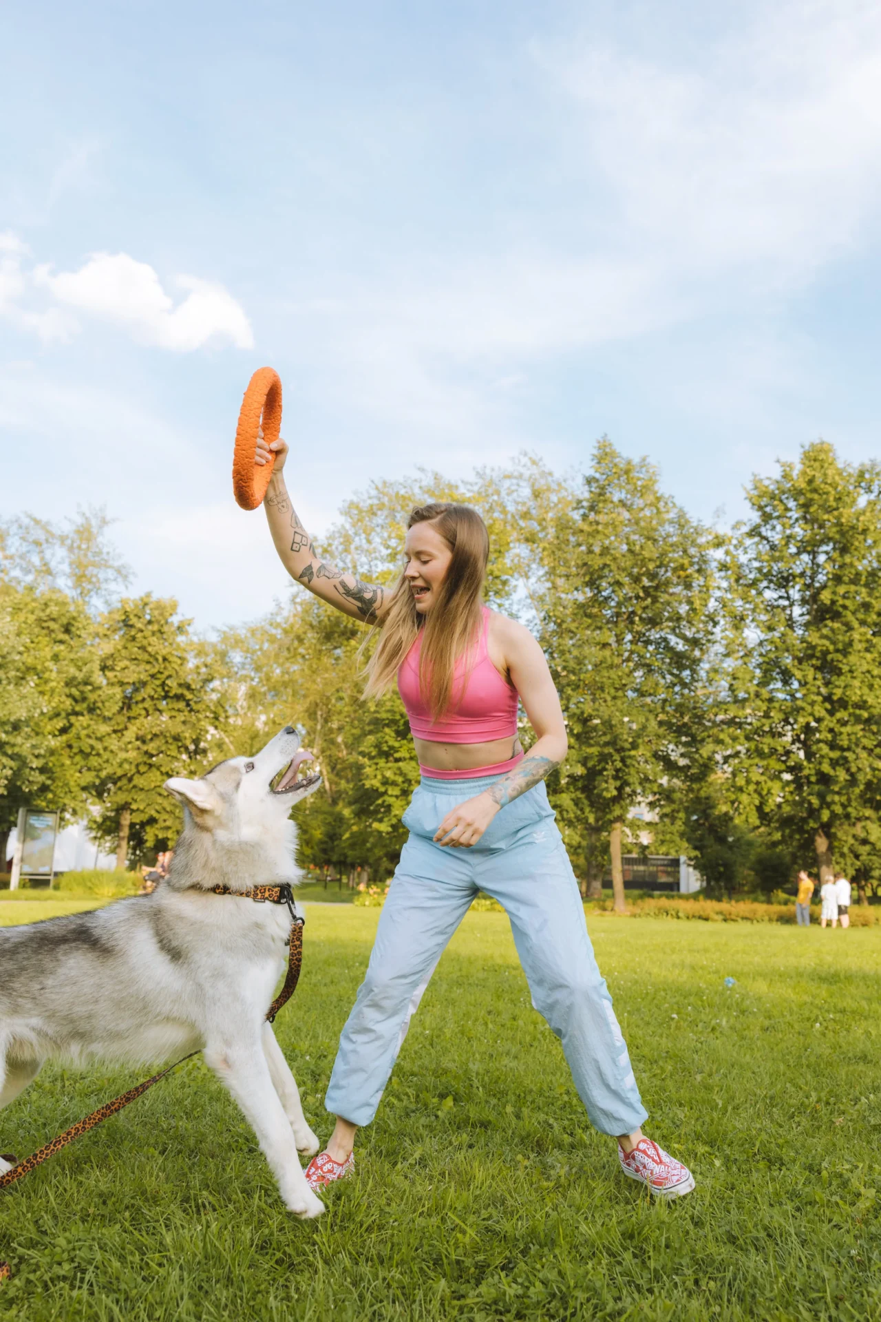 5 Tips to train your dog with an e-collar