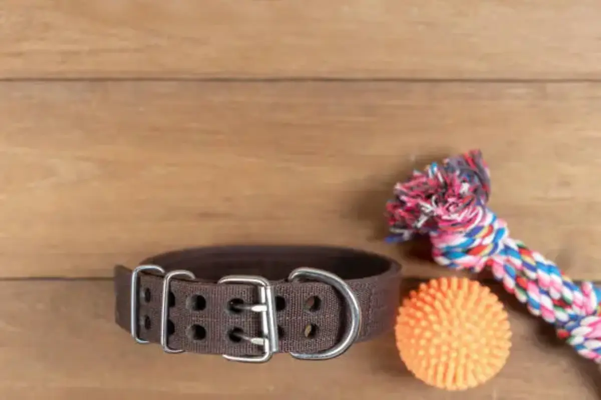 How to Create a Versatile and Functional Dog Collar Loop 1