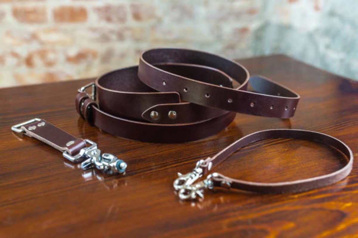 dog-collars-buckles