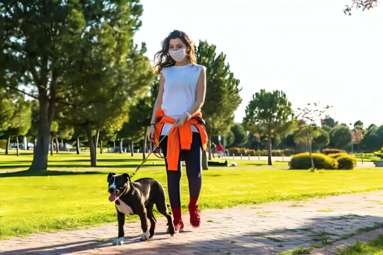 How To Walk a Dog with A Prong Collar?