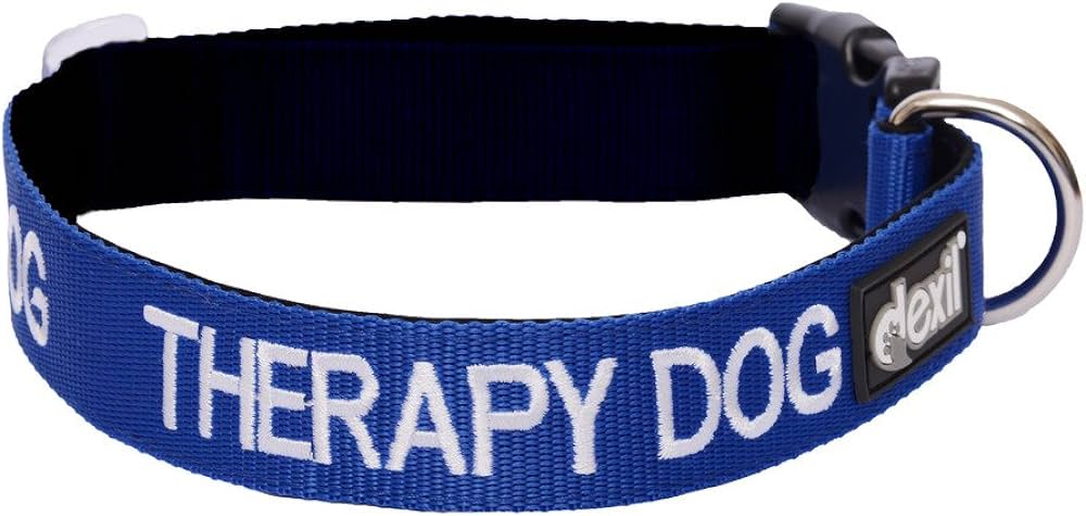 The Therapeutic Power of a Therapy Dog Collar