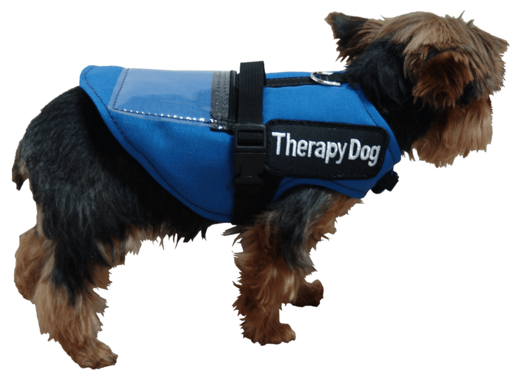 The Therapeutic Power of a Therapy Dog Collar
