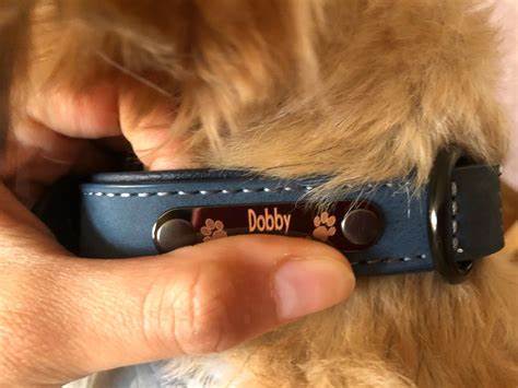 The Ultimate Guide to Dog Collars with ID Tags